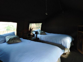 Andova Tented Lodge - Kruger Open Gate Road